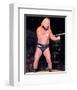 Greg Valentine-null-Framed Photo