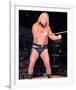 Greg Valentine-null-Framed Photo