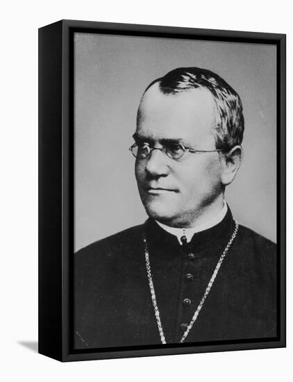 Gregor Johann Mendel Austrian Botanist-null-Framed Stretched Canvas