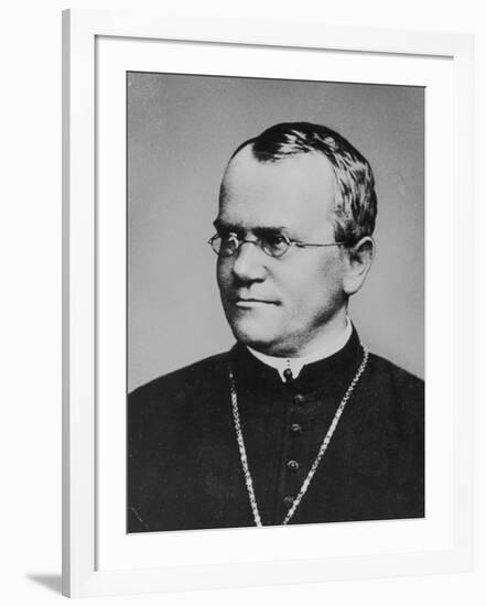 Gregor Johann Mendel Austrian Botanist-null-Framed Photographic Print