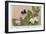 Gregor Johann Mendel Austrian Botanist-A.d. Darleishire-Framed Photographic Print