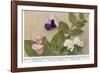 Gregor Johann Mendel Austrian Botanist-A.d. Darleishire-Framed Photographic Print