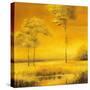 Stretched Canvas