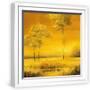 White Frame