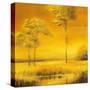 Stretched Canvas