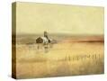 Stretched Canvas