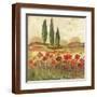 Brown Frame