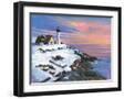 Chelsea Black