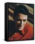 Gregory Peck-null-Framed Stretched Canvas