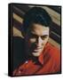 Gregory Peck-null-Framed Stretched Canvas