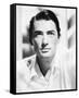 Gregory Peck-null-Framed Stretched Canvas