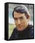 Gregory Peck-null-Framed Stretched Canvas