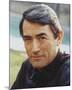 Gregory Peck-null-Mounted Photo