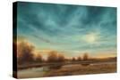 Stretched Canvas