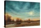 Stretched Canvas