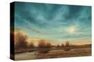 Stretched Canvas