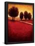 Essential Black