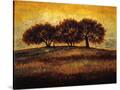 Stretched Canvas