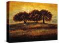 Stretched Canvas