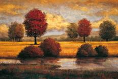 Evening Approaches-Gregory Williams-Art Print