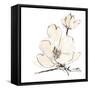 Greige Magnolias II-Chris Paschke-Framed Stretched Canvas