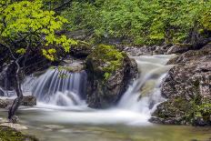 Wide View of A Japanese Garden-greir-Photographic Print