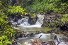 Wide View of A Japanese Garden-greir-Photographic Print