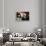 Gremlins (photo)-null-Framed Photo displayed on a wall
