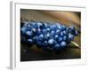 Grenache Grapes, Picked-Joerg Lehmann-Framed Photographic Print