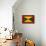 Grenada Flag Design with Wood Patterning - Flags of the World Series-Philippe Hugonnard-Framed Stretched Canvas displayed on a wall
