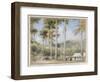 Grenada, West Indies-Albert Goodwin-Framed Giclee Print