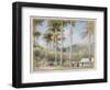 Grenada, West Indies-Albert Goodwin-Framed Giclee Print