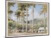 Grenada, West Indies-Albert Goodwin-Mounted Giclee Print