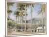 Grenada, West Indies-Albert Goodwin-Mounted Giclee Print