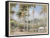 Grenada, West Indies-Albert Goodwin-Framed Stretched Canvas