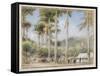 Grenada, West Indies-Albert Goodwin-Framed Stretched Canvas