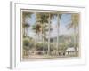 Grenada, West Indies-Albert Goodwin-Framed Giclee Print