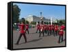 Grenadier Guards March to Wellington Barracks after Changing the Guard Ceremony, London, England-Walter Rawlings-Framed Stretched Canvas