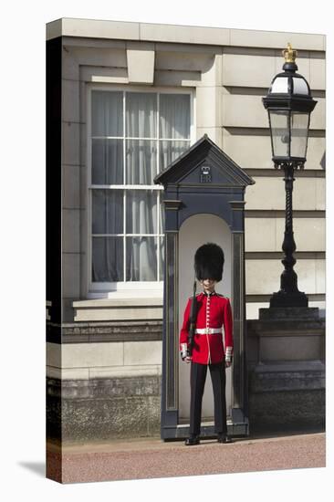 Grenadier Guardsman Outside Buckingham Palace, London, England, United Kingdom, Europe-Stuart Black-Stretched Canvas