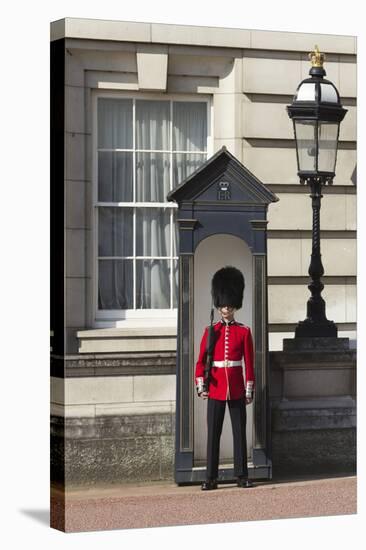 Grenadier Guardsman Outside Buckingham Palace, London, England, United Kingdom, Europe-Stuart Black-Stretched Canvas