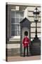 Grenadier Guardsman Outside Buckingham Palace, London, England, United Kingdom, Europe-Stuart Black-Stretched Canvas