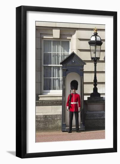 Grenadier Guardsman Outside Buckingham Palace, London, England, United Kingdom, Europe-Stuart Black-Framed Photographic Print