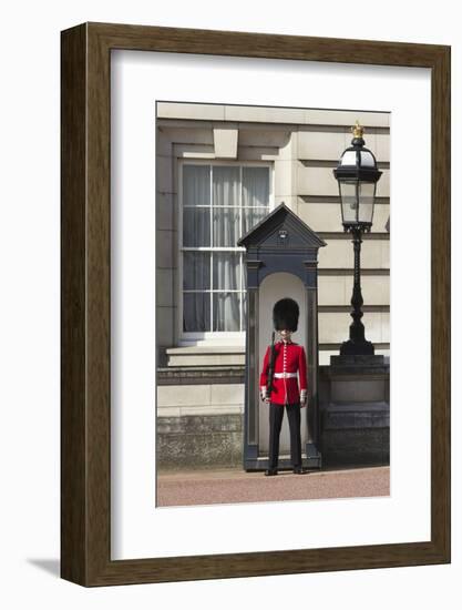 Grenadier Guardsman Outside Buckingham Palace, London, England, United Kingdom, Europe-Stuart Black-Framed Photographic Print