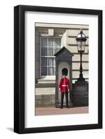 Grenadier Guardsman Outside Buckingham Palace, London, England, United Kingdom, Europe-Stuart Black-Framed Photographic Print