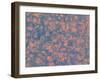 Grenadine-Maryse Pique-Framed Giclee Print