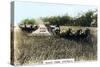 Grenfell Wheat Farm, Australia, C1920S-null-Stretched Canvas