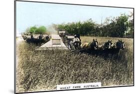 Grenfell Wheat Farm, Australia, C1920S-null-Mounted Giclee Print