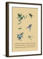 Grenouille Papoue-null-Framed Art Print