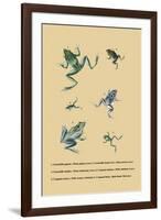 Grenouille Papoue-null-Framed Art Print