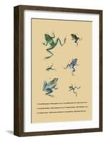 Grenouille Papoue-null-Framed Art Print